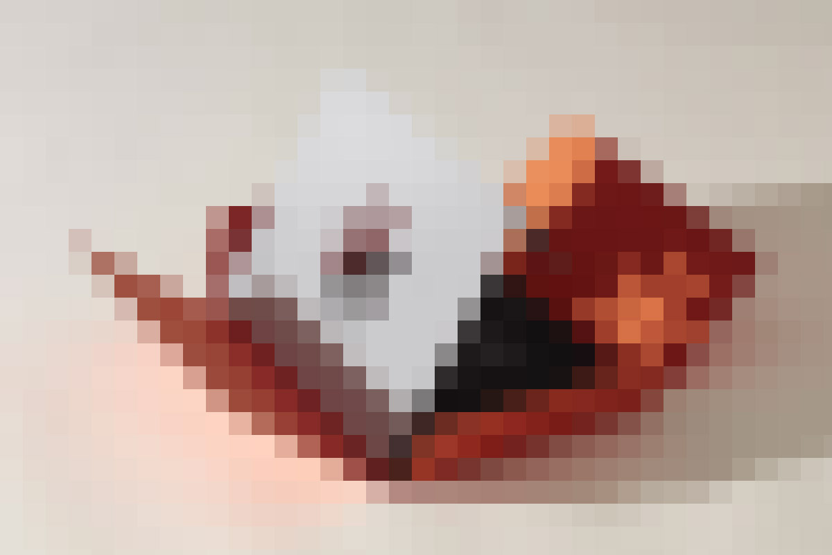 Image Title